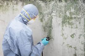 Best Industrial Mold Remediation  in Skippers Corner, NC